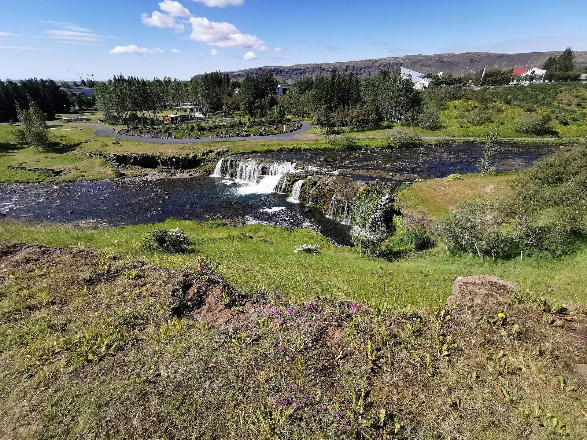 Wodospad Reykjafoss na rzece Varmá w Hveragerði, zielony park i zabudowa miasteczka w tle